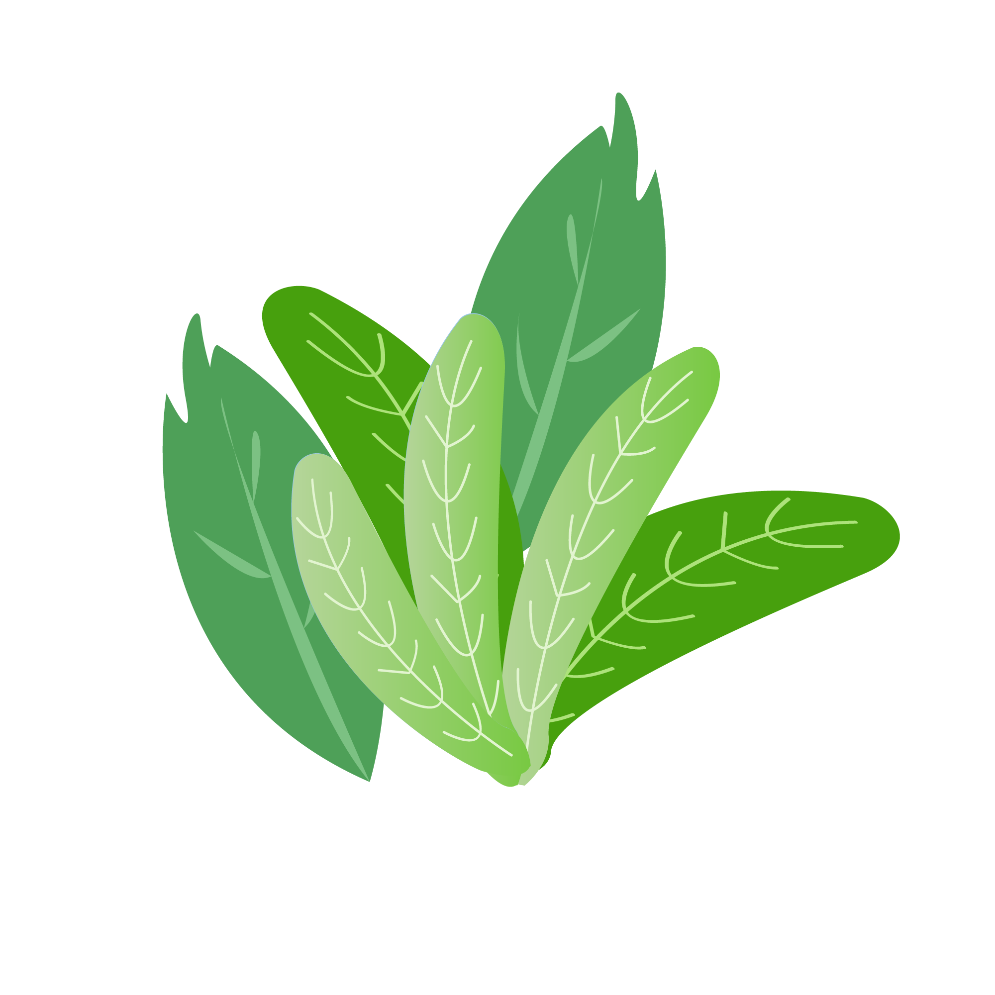 ͼƬ1.png